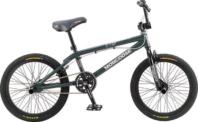 2004 Mongoose Rogue