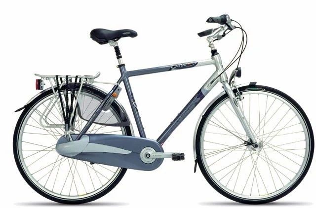 2004 Trek L300