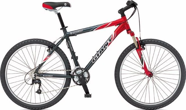 2004 Giant Rincon