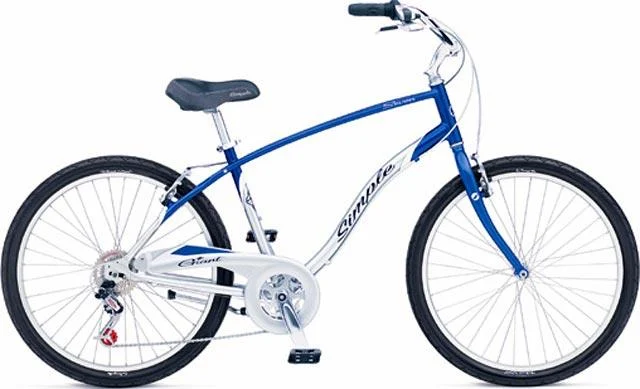 2004 Giant Simple 7