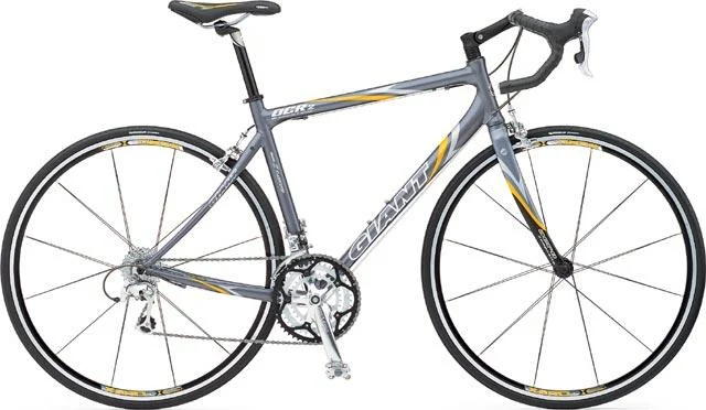 2004 Giant OCR 2