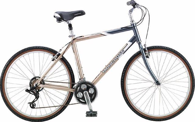 2004 Mongoose Switchback
