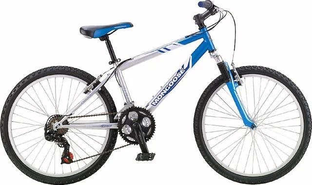 2004 Mongoose Rockadile 24
