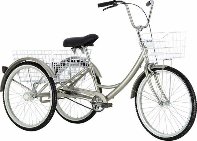 2004 KHS Trike