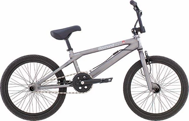 2004 Diamondback Orion