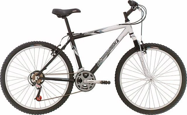 2004 Diamondback Outlook