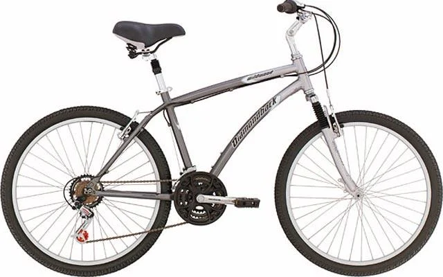 2004 Diamondback Wildwood