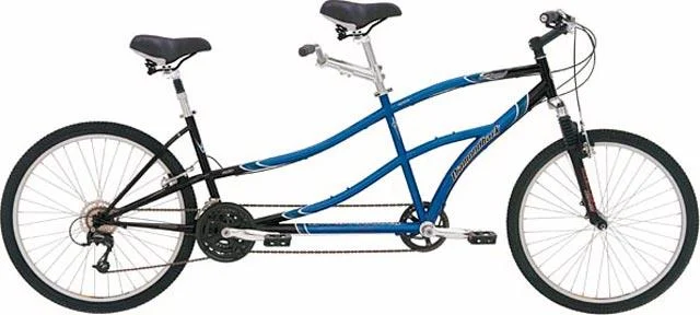 2004 Diamondback Wildwood Tandem