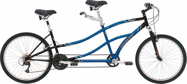 2004 Diamondback Wildwood Tandem