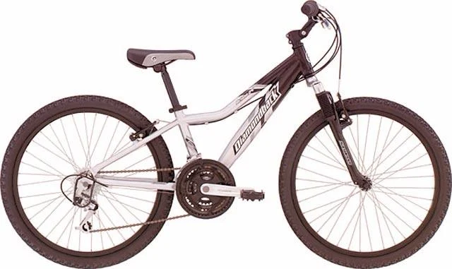 2004 Diamondback Octane 24