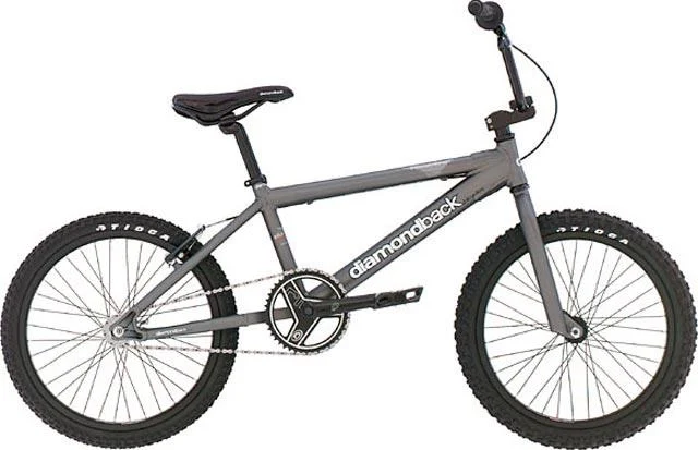 2004 Diamondback Reactor Pro