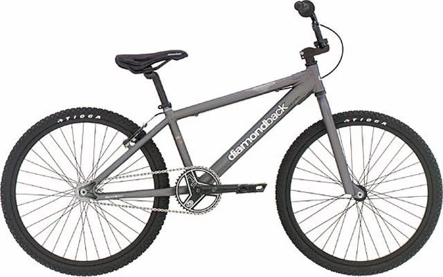 2004 Diamondback Reactor Pro 24