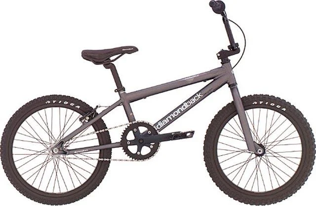 2004 Diamondback Reactor Expert