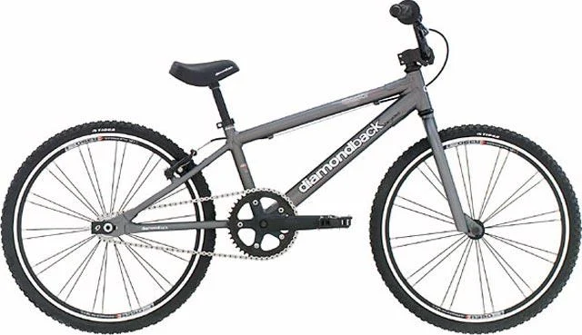 2004 Diamondback Reactor Jr
