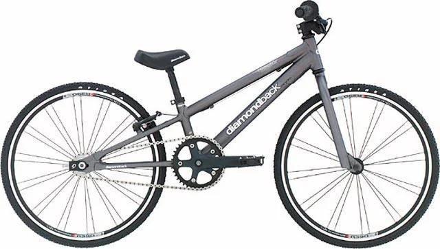 2004 Diamondback Reactor Mini