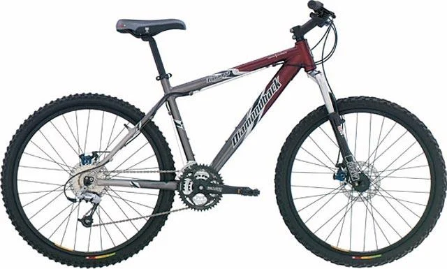 2004 Diamondback Topanga Comp
