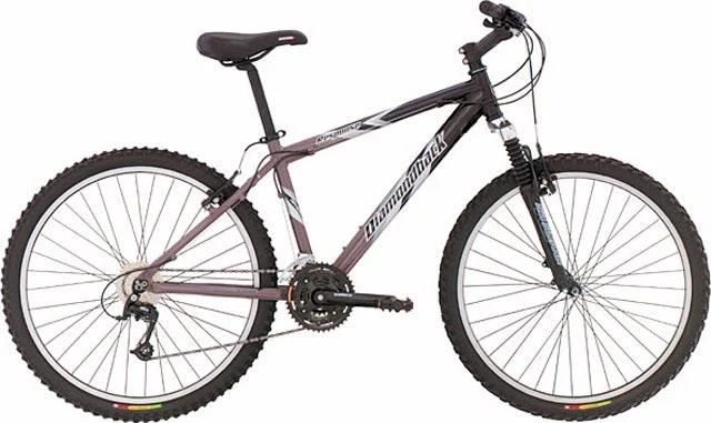 2004 Diamondback Response