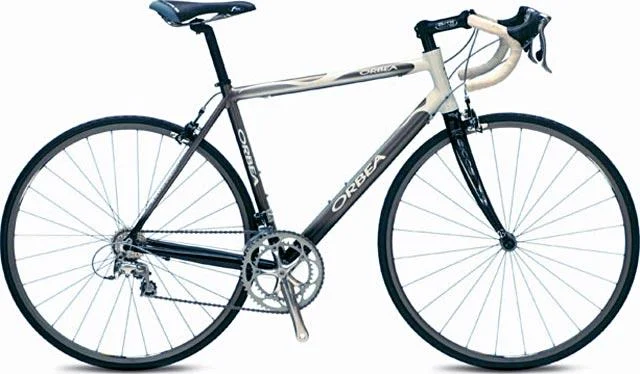 2004 Orbea Vitesse