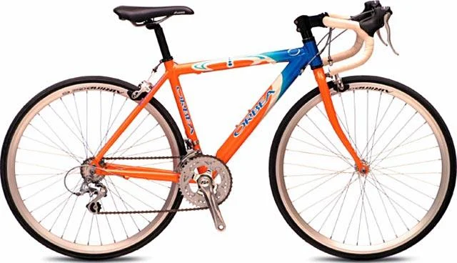 2004 Orbea Carrera