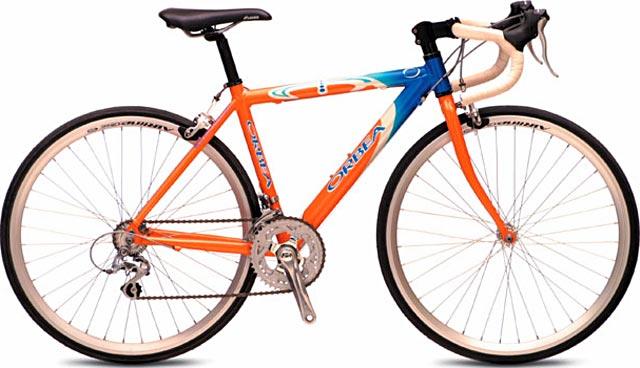 2004 Orbea Carrera