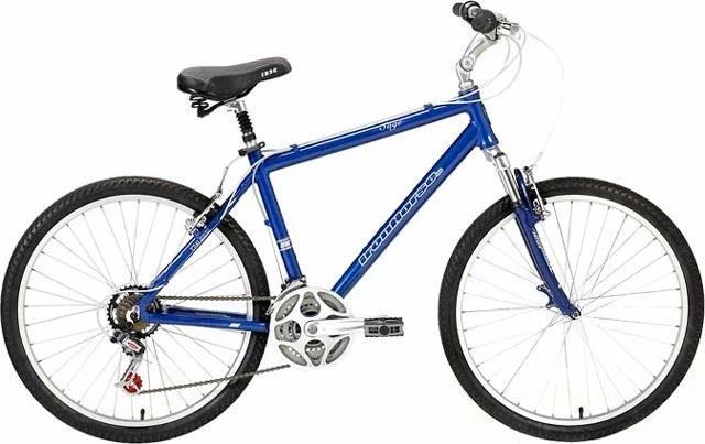 2004 Iron Horse Sage