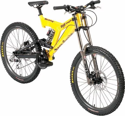 2004 Iron Horse SGS-World Cup DH