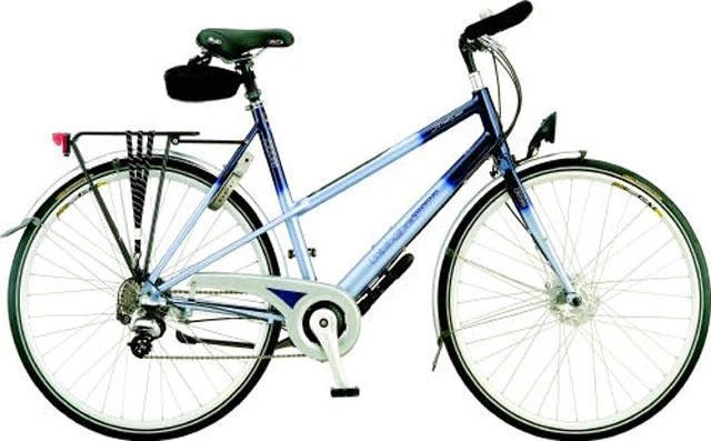 2004 Koga Miyata Street Liner Mixte
