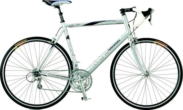 2004 Koga Miyata Super Winner Comfort