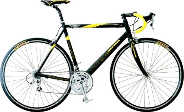 2004 Koga Miyata Road Winner