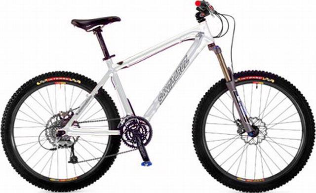 2004 Santa Cruz Chameleon XTR Disc
