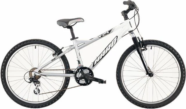 2004 Haro V24