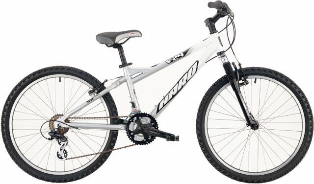 2004 Haro V24
