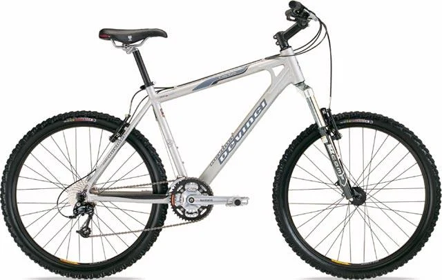 2004 Devinci Cactus
