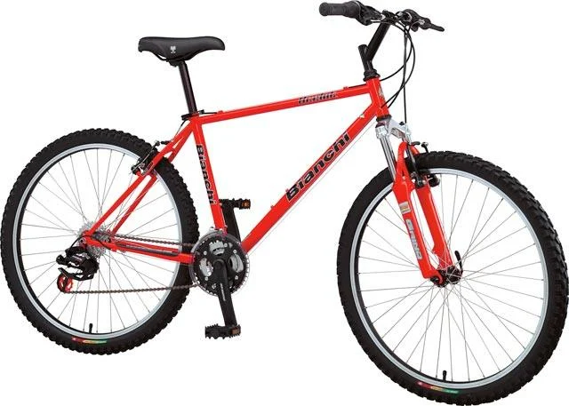 2004 Bianchi Ocelot