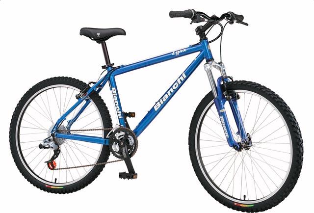 2004 Bianchi Lynx