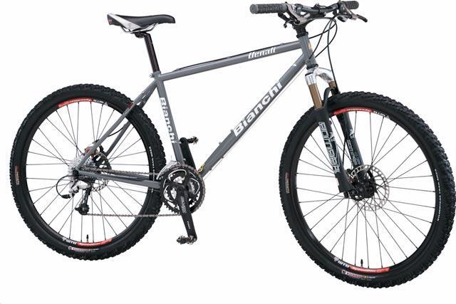 2004 Bianchi Denali