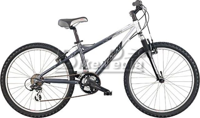 2005 Haro V24