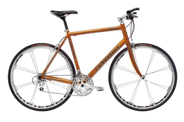 2005 Cannondale Road Warrior 1000