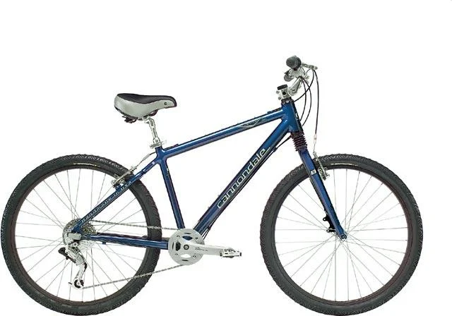 2005 Cannondale Comfort 800
