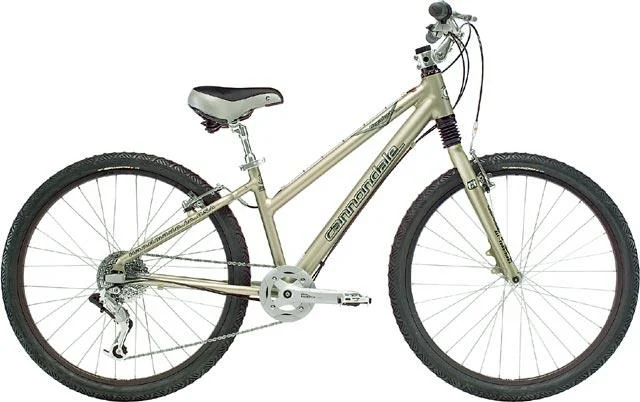 2005 Cannondale Comfort 800 Feminine