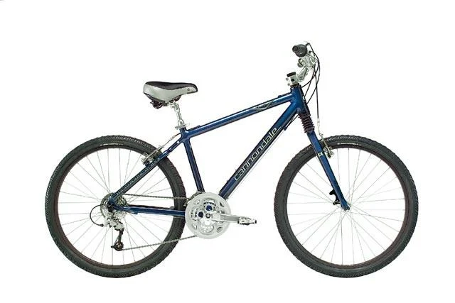 2005 Cannondale Comfort 600