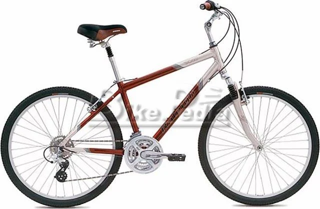 2005 Raleigh SC40