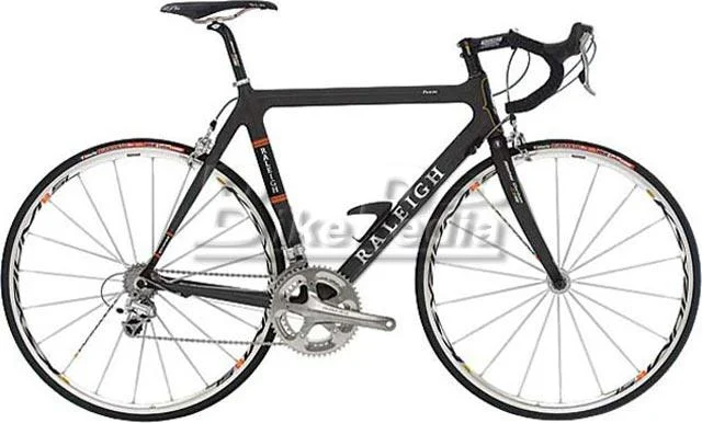 2005 Raleigh Team
