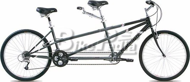 2005 Raleigh Companion