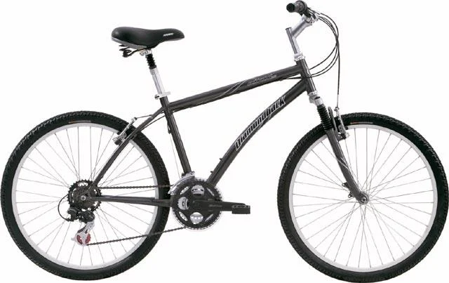 2005 Diamondback Wildwood Citi