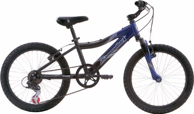 2005 Diamondback Octane 20