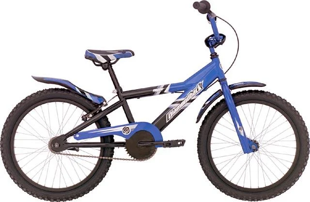 2005 Diamondback Jr. Viper