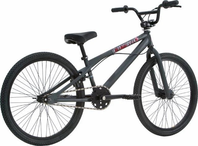 2005 Diamondback Mr. Lucky 24