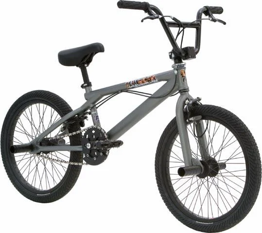 2005 Diamondback Orion