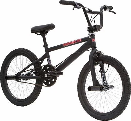 2005 Diamondback Joker